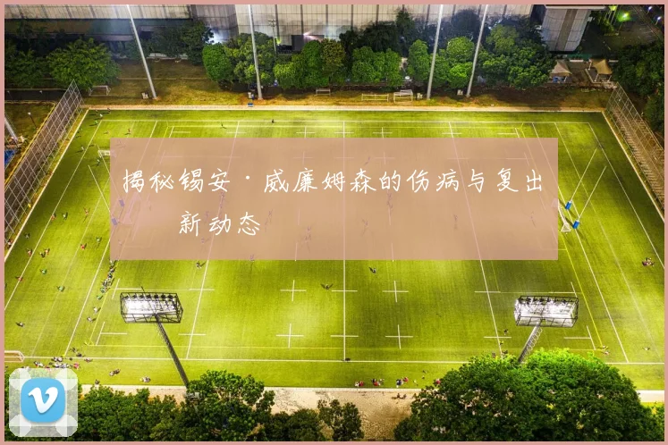 揭秘锡安·威廉姆森的伤病与复出最新动态